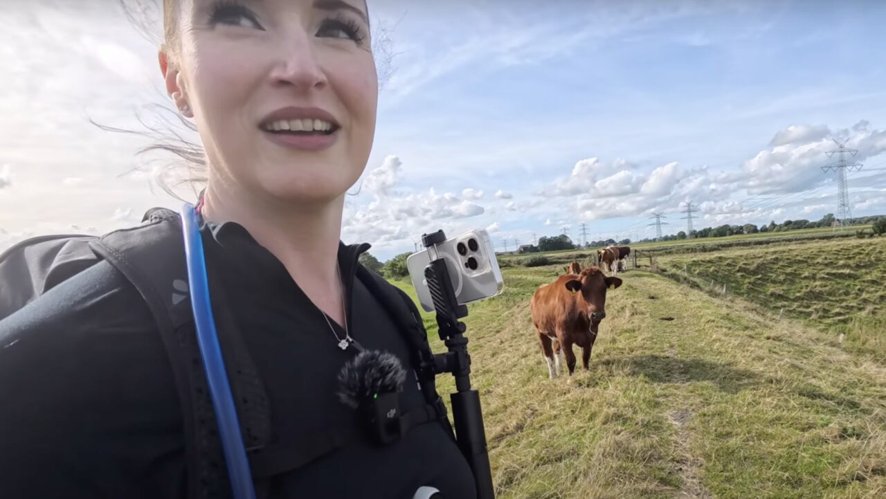 Kühe versperren unseren Weg