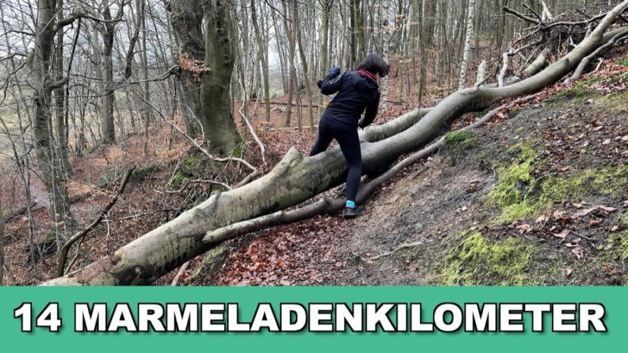 Schleswig-Holstein - Bad Schwartau WANDERN mit kleinem Dacia Duster Update