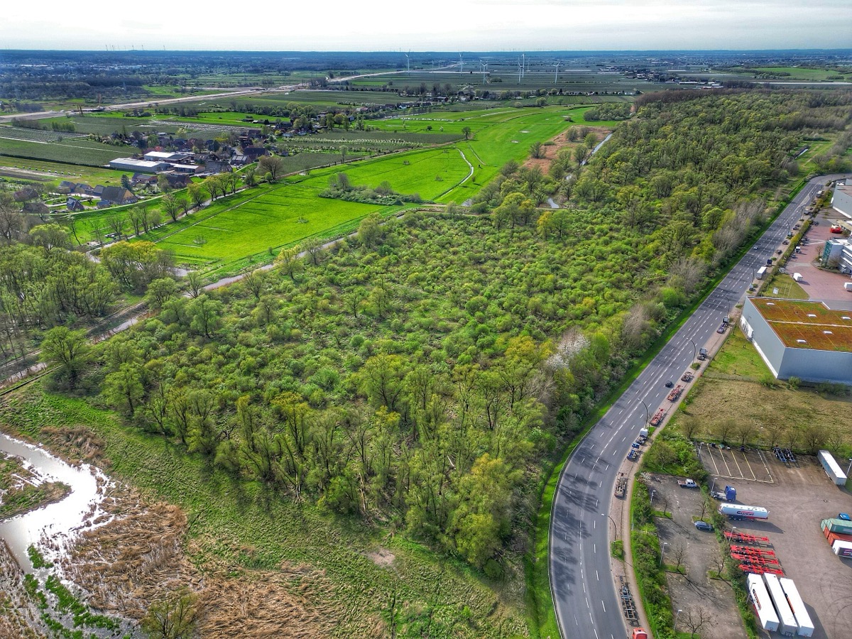 Naturschutzgebiet Vollhöfner Wald